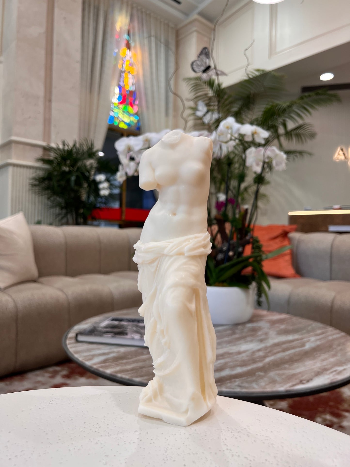 Venus Large