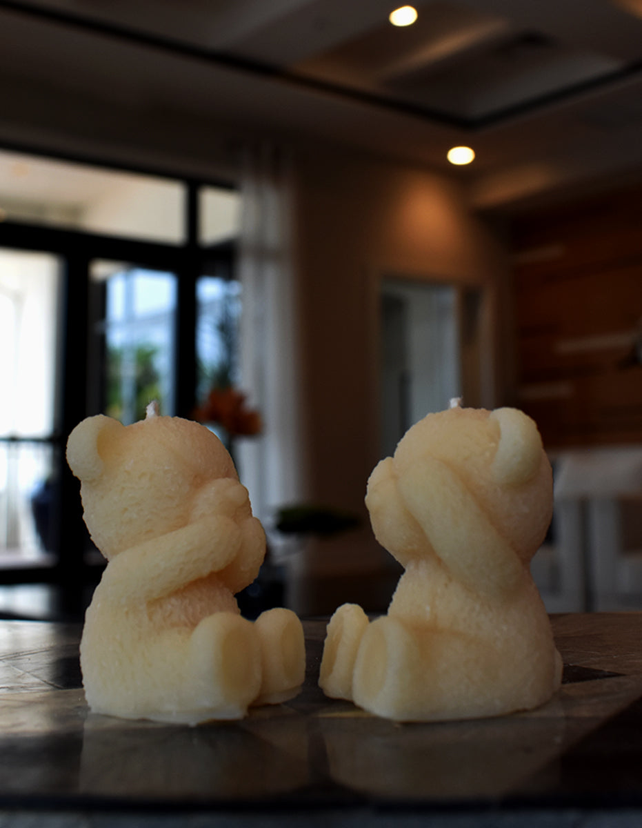 Teddy Bear